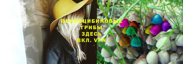 mdpv Горняк