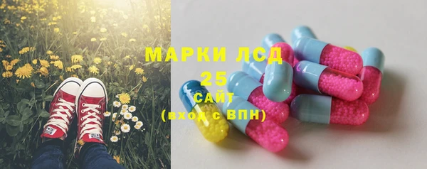 СК Горнозаводск