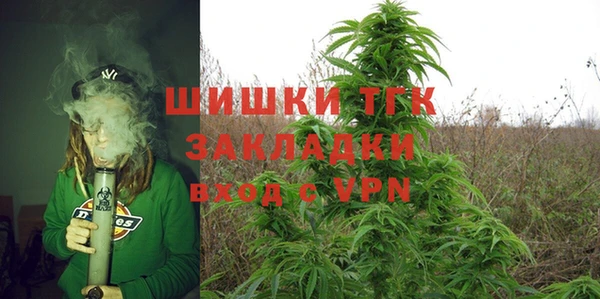 СК Горнозаводск
