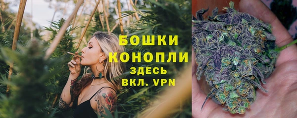 mdpv Горняк